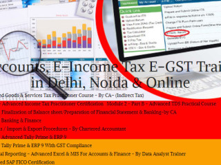 Tally ERP 9 and Tally Price Course in Delhi. Job Oriented GST Course in Delhi