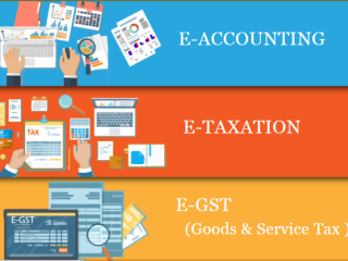 Diploma in Accounting Delhi, GST and Custom Course in Delhi, 100% Job Guarantee Course by "SLA Consultants""